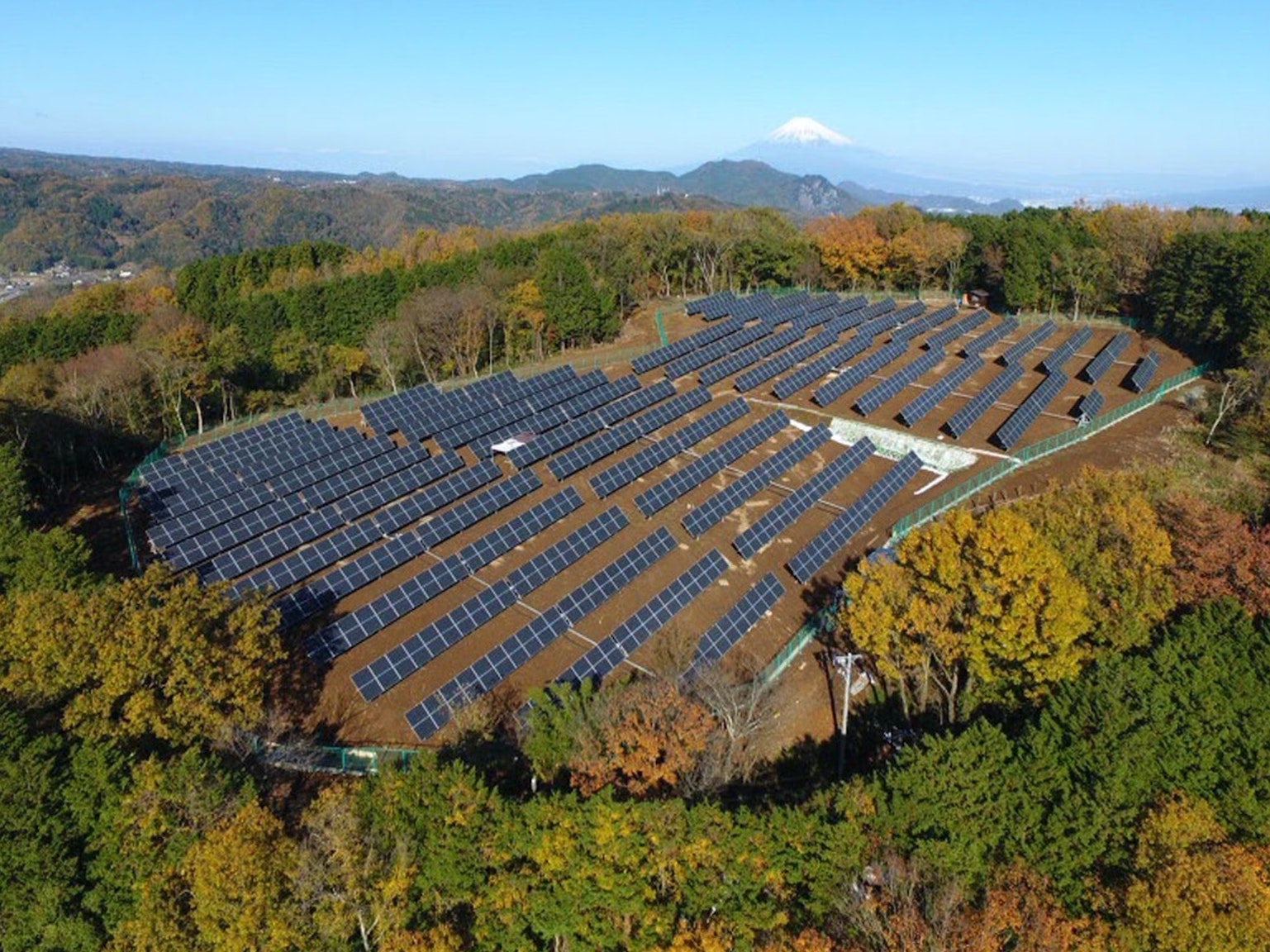 Painéis fotovoltaicos instalados em meio à uma floresta